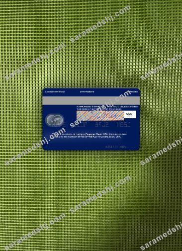 USA Ally Financial Bank mastercard photolook back